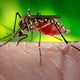 DENGUE ALERT: Causes, Symptoms & Prevention - Southstar Drug